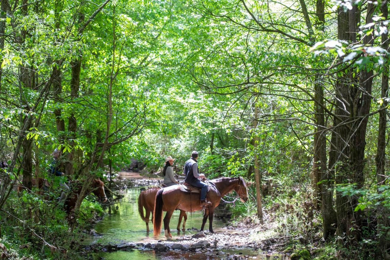 Barnsley Resort Adairsville ภายนอก รูปภาพ