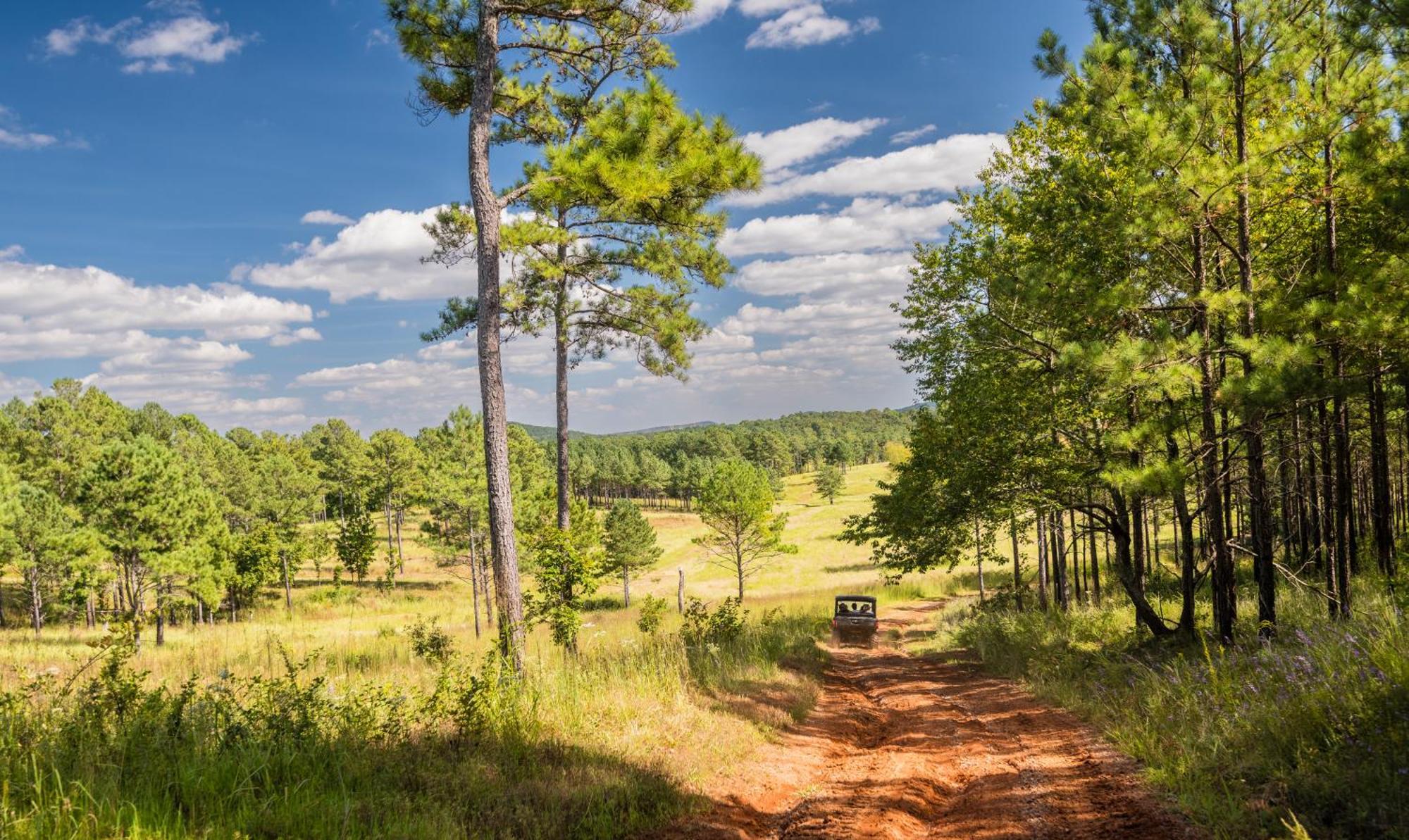 Barnsley Resort Adairsville ภายนอก รูปภาพ