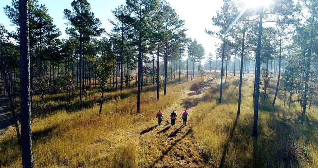 Barnsley Resort Adairsville ภายนอก รูปภาพ